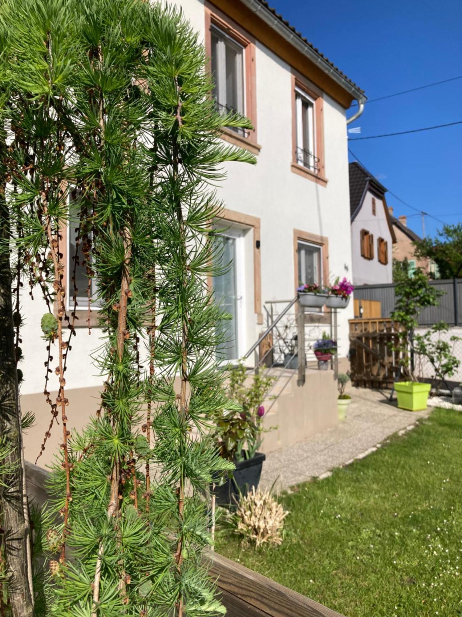 Gite Le 1602 Saint-Nabor Zewnętrze zdjęcie