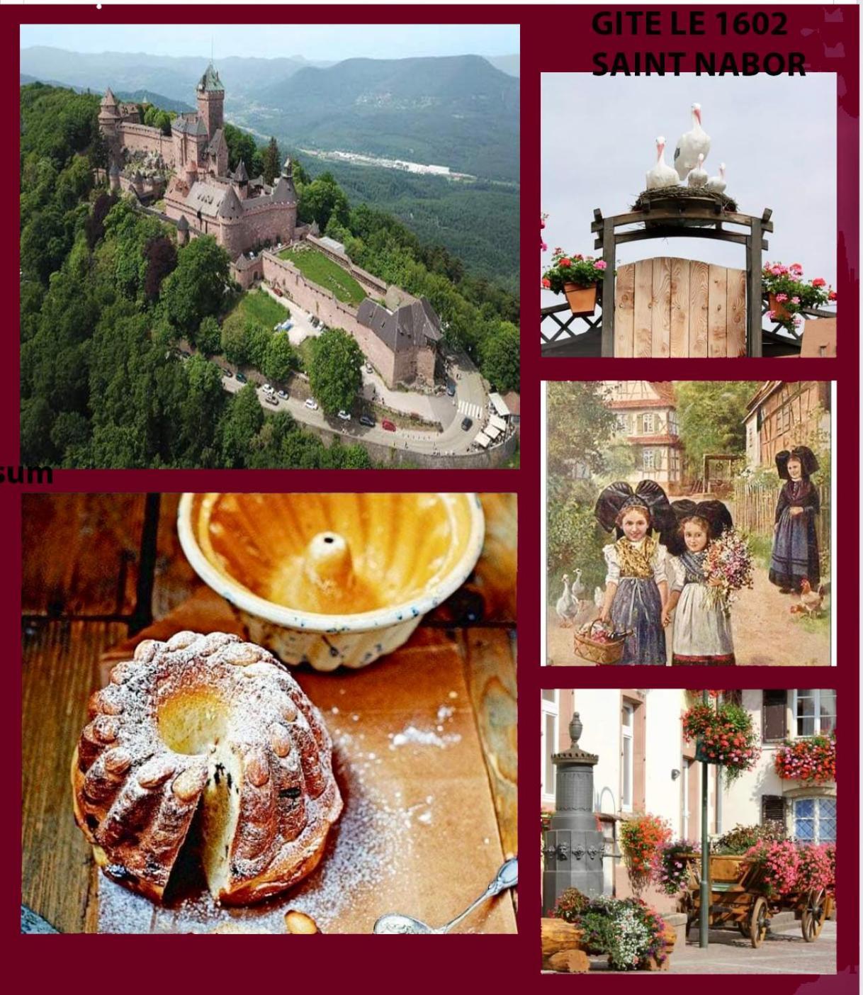 Gite Le 1602 Saint-Nabor Zewnętrze zdjęcie